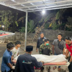 Sindikat Pencuri Sapi di Pringsewu Dibekuk, 1 Pelaku Tewas Usai Melawan Polisi