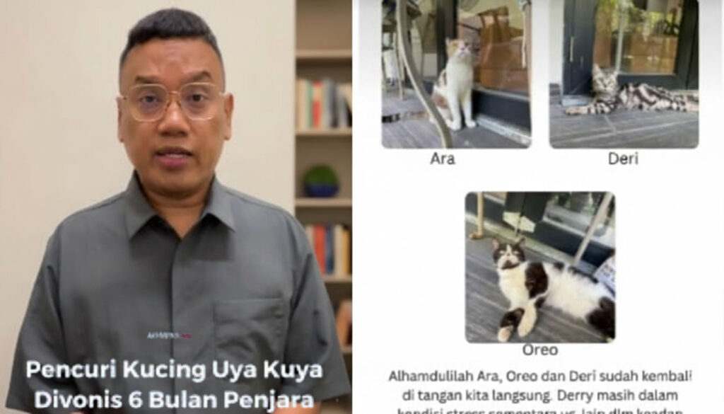 Uya Kuya Ringankan Hukuman: Pencuri Kucing Divonis 6 Bulan Penjara