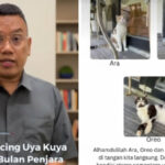 Uya Kuya Ringankan Hukuman: Pencuri Kucing Divonis 6 Bulan Penjara