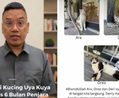 Uya Kuya Ringankan Hukuman: Pencuri Kucing Divonis 6 Bulan Penjara