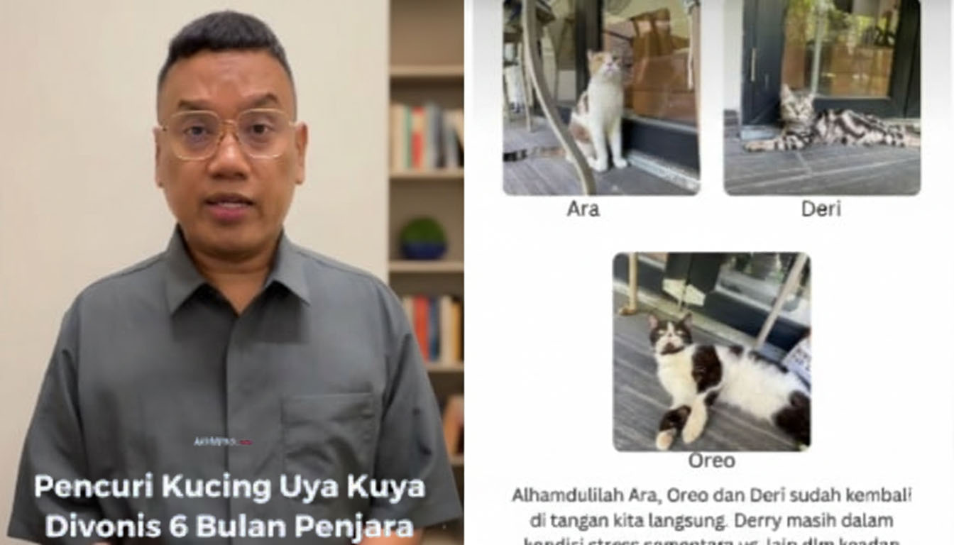 Uya Kuya Ringankan Hukuman: Pencuri Kucing Divonis 6 Bulan Penjara