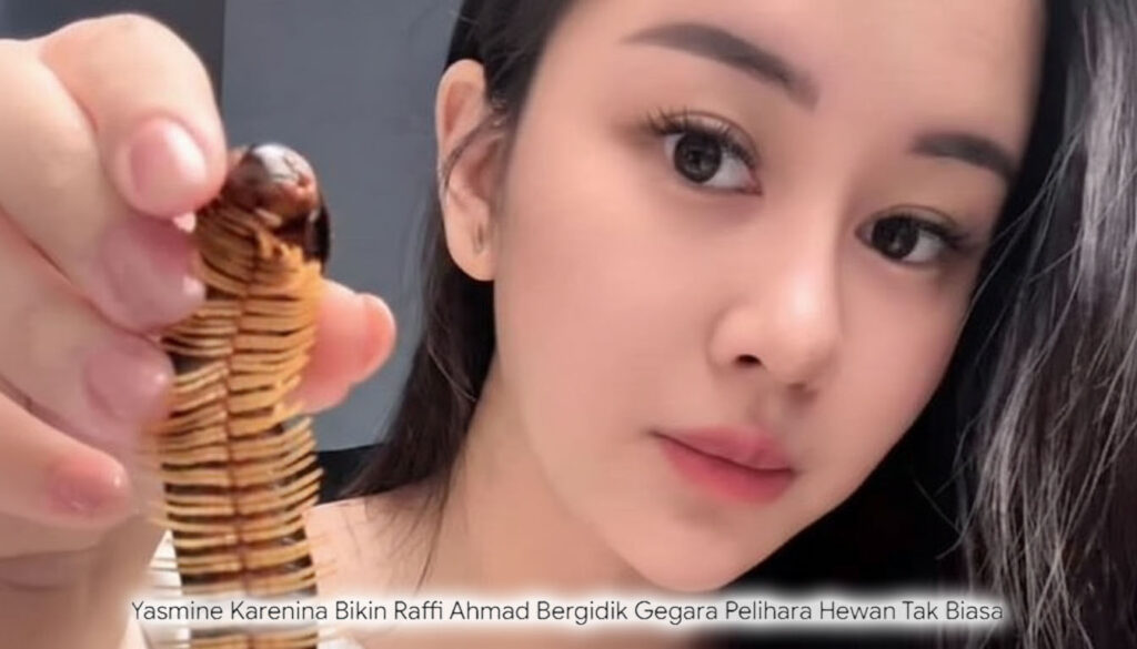 Bikin Raffi Bergidik! Yasmine Karenina Pelihara Hewan Tak Biasa, Bukan Cuma Ular Raksasa
