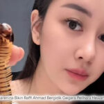 Bikin Raffi Bergidik! Yasmine Karenina Pelihara Hewan Tak Biasa, Bukan Cuma Ular Raksasa