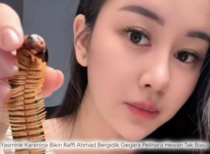 Bikin Raffi Bergidik! Yasmine Karenina Pelihara Hewan Tak Biasa, Bukan Cuma Ular Raksasa