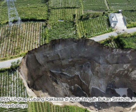 Klarifikasi BRIN soal Lubang Raksasa di Aceh: Bukan Sinkhole, Ini Penjelasan Lengkapnya!