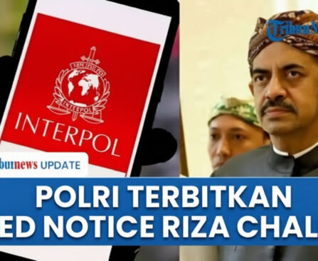 Resmi Jadi Buron Global! Riza Chalid Kini Dikejar Interpol di 196 Negara, Ini Artinya