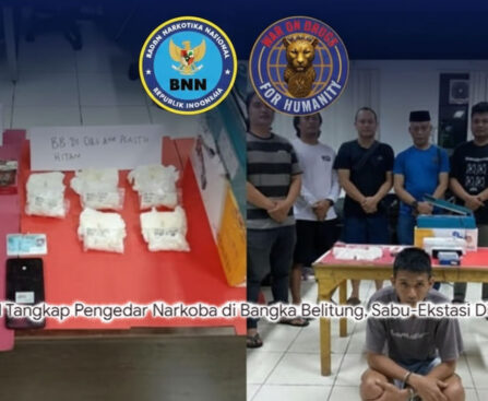 Sabu & Ekstasi Ludes! BNN Bobol Markas Peredaran Narkoba di Pelosok Bangka