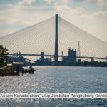 Trump Ancam Tutup Jembatan Baru AS-Kanada, Tuntut Setengah Kepemilikan