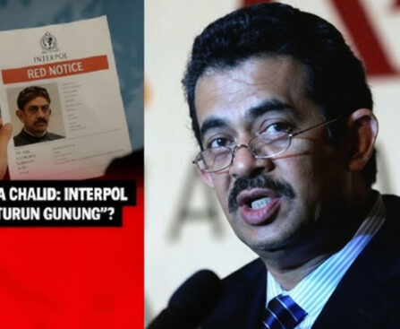 Ujung Tanduk Sang GodfatherBensin : Red Notice Interpol dan Paspor Tunggal yang Membelenggu Riza Chalid